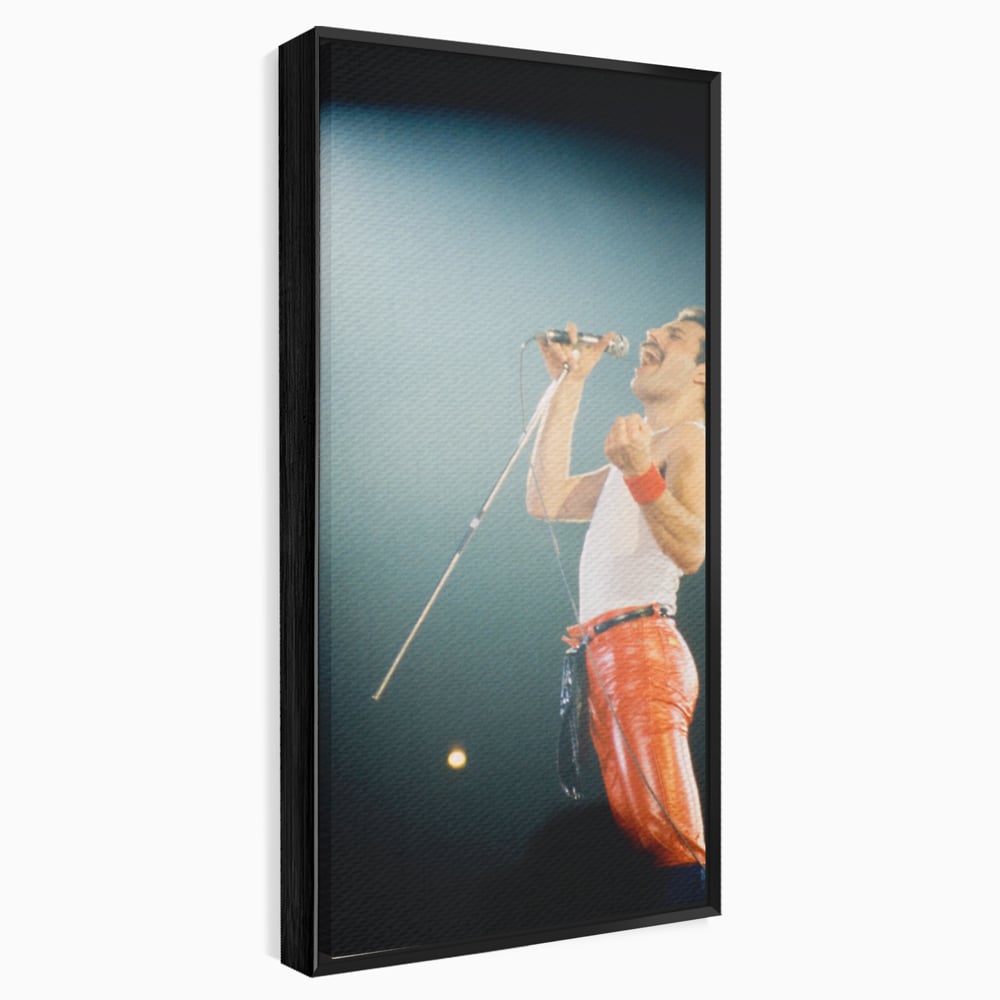 Tablou canvas cu tablou canvas cu freddie mercury, in rama de aluminiu negru